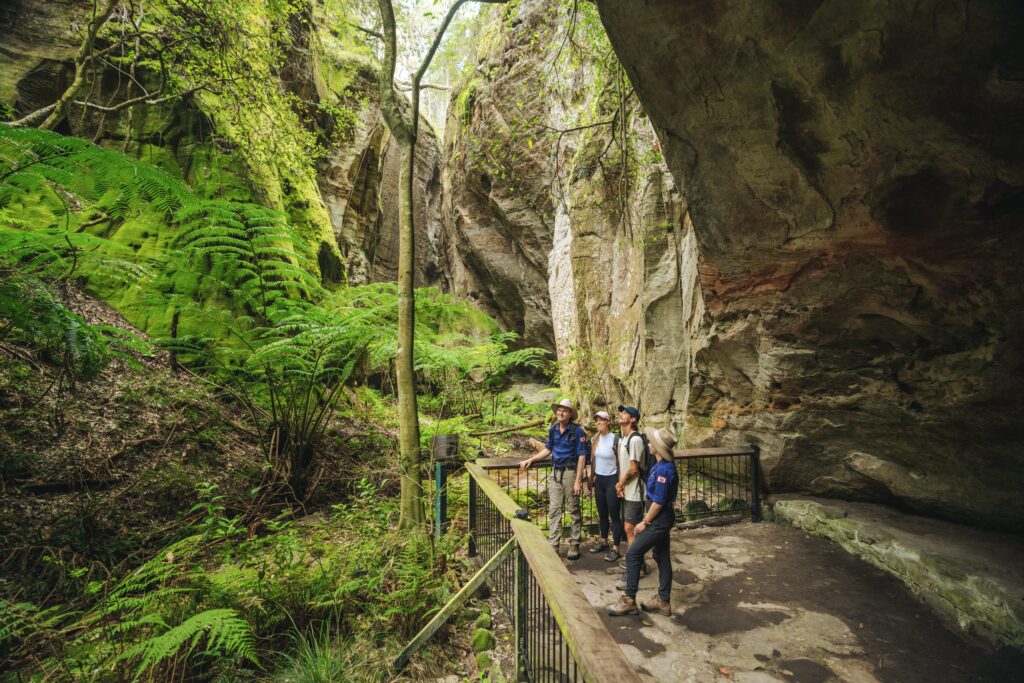 Carnarvon Gorge