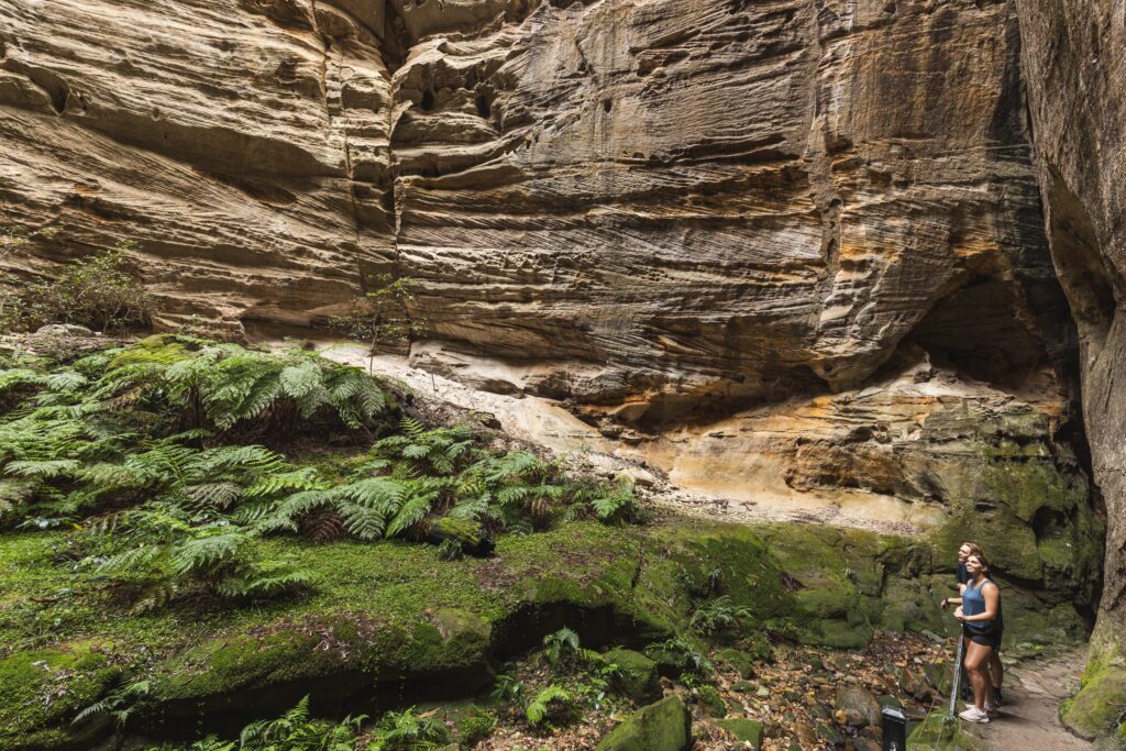 Carnarvon Gorge Wilderness Lodge