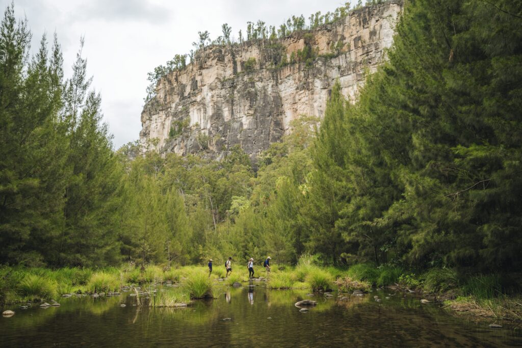 Carnarvon Gorge